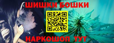 прущие грибы Камышлов