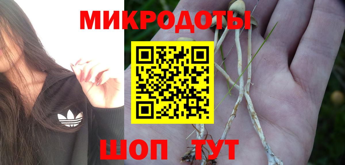 Галлюциногенные грибы ЛСД  Вход с VPN  Псилоцибиновые грибы ЛСД  Лесной 