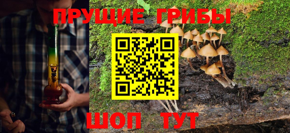 Галлюциногенные грибы Cubensis Лесной